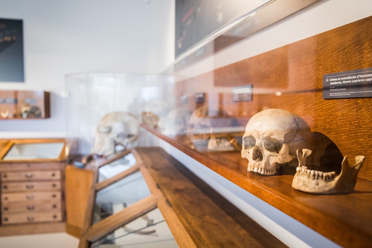 Musee-Aurignacien-2-