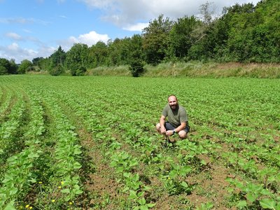 La commingeoise-agassac-jardin