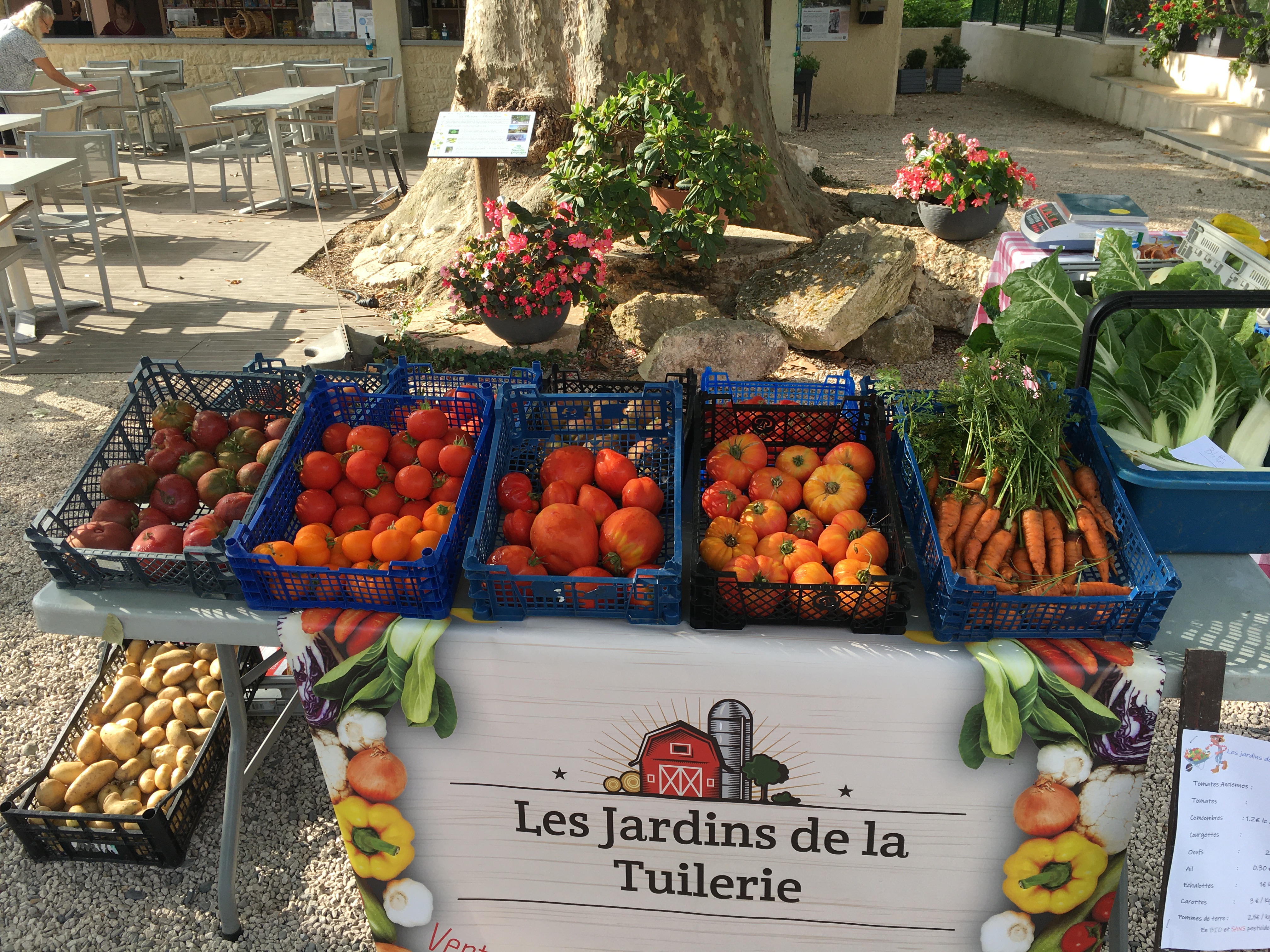 Les jardins de la tuilerie, Sebastien Langenais, Terrebasse