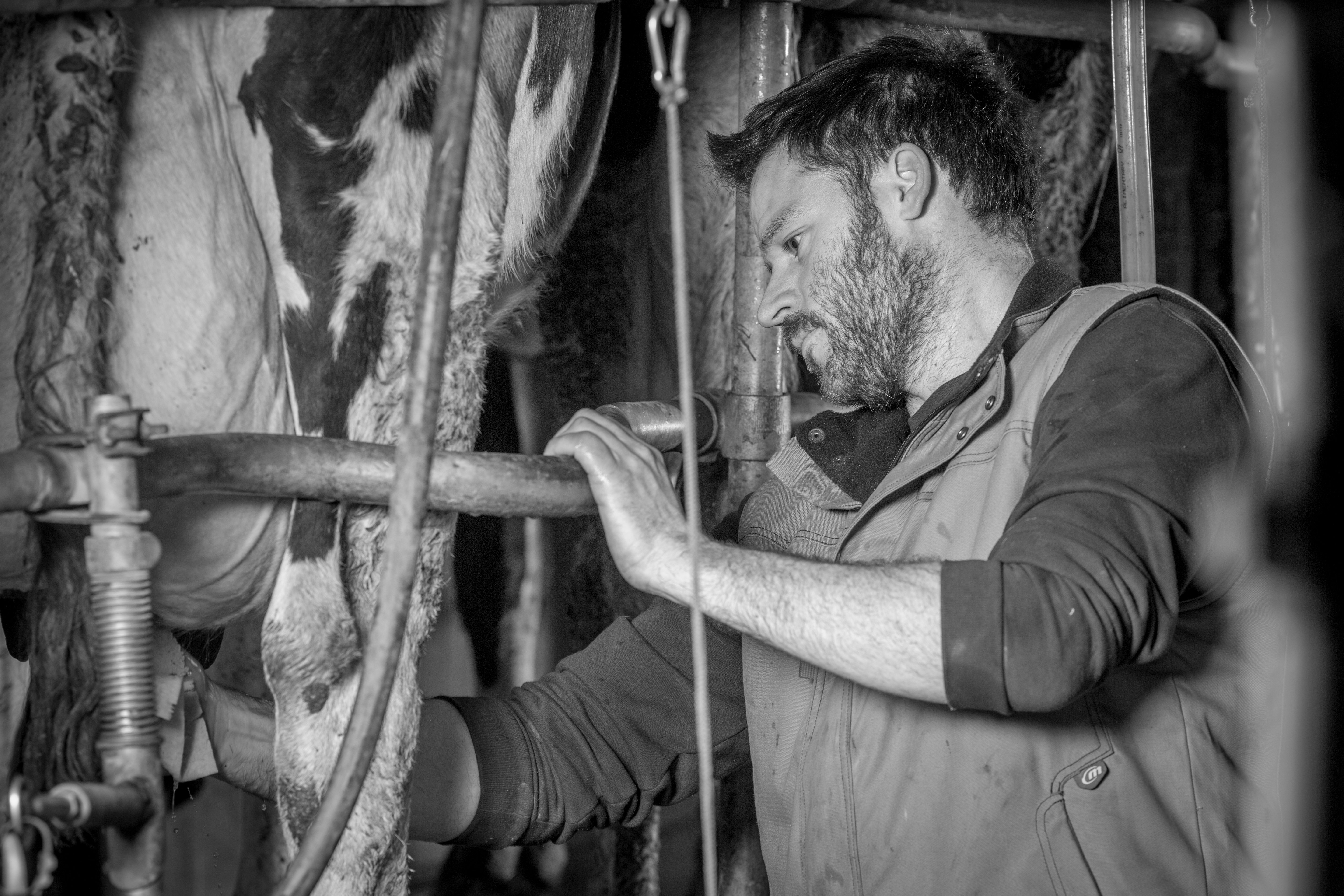 fromage--Ferme-de-Prouzic--Valentine--3-