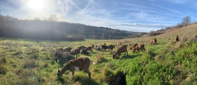 La ferme de Soépi