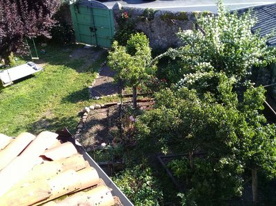 Chambres d'hôtes - Bazar du nouveau siècle - Montréjeau Jardin b (©)