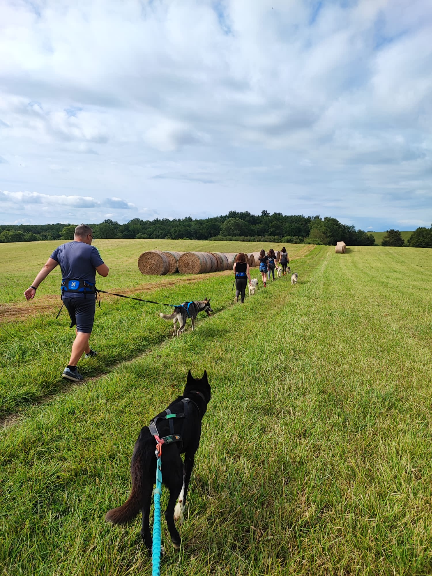 Instinct nordique - Cani-rando Comminges-Pyrénées