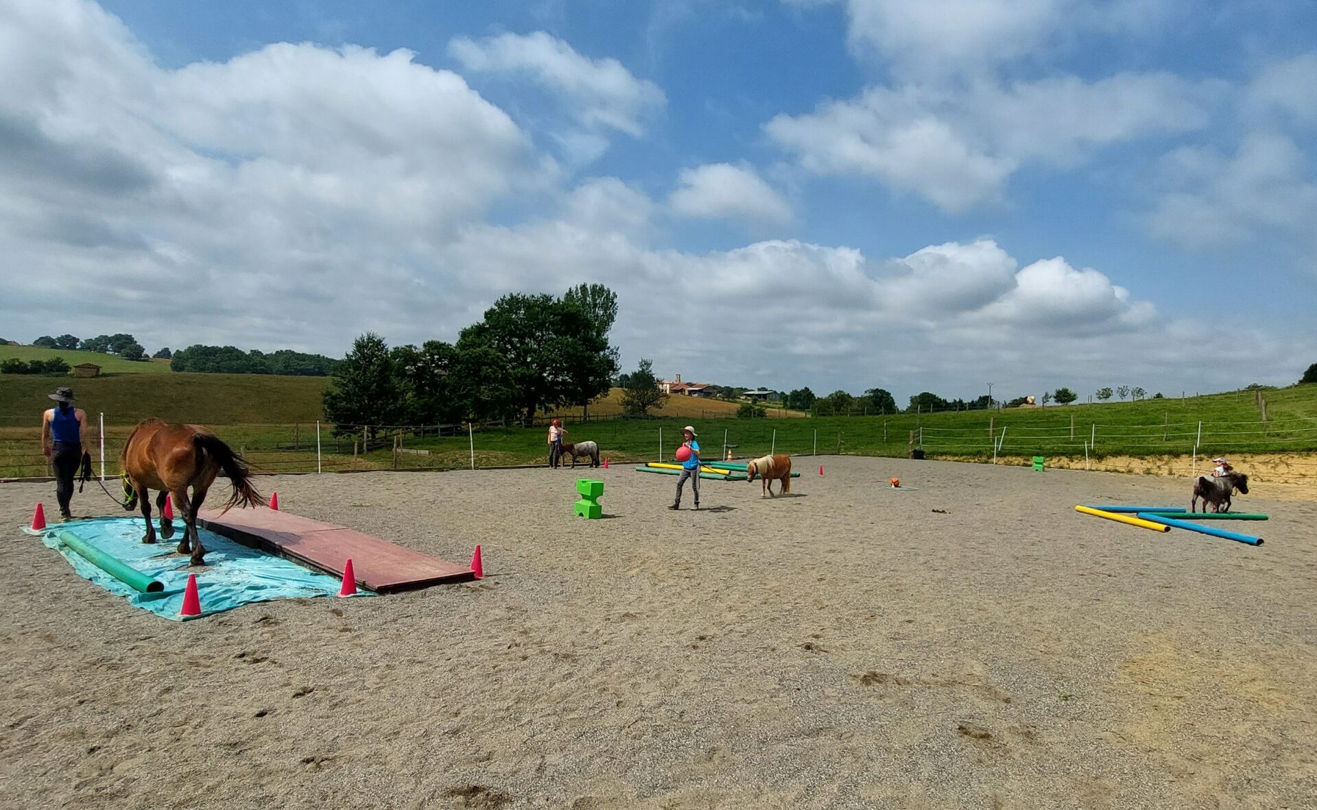 Ferme équestre, Les Collines d'Epona, Cassagnaberes tournas, aurignac, comminges