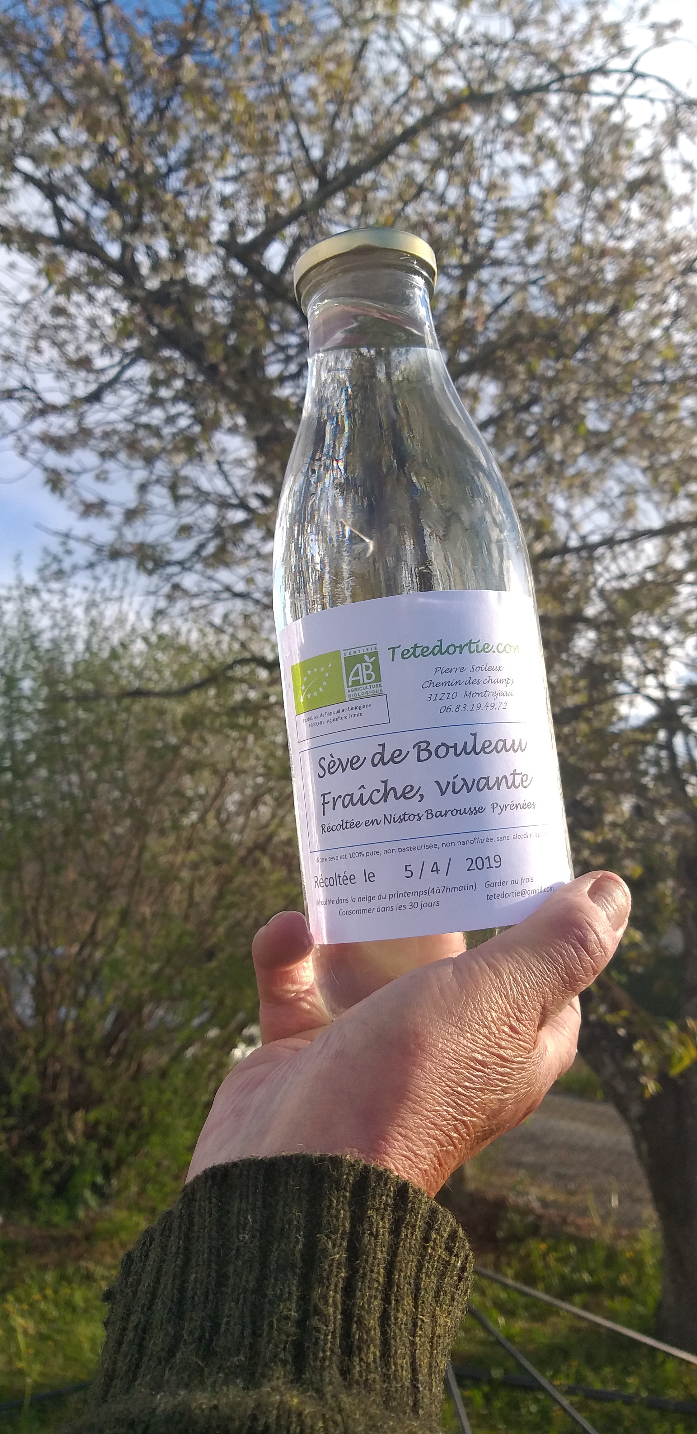 Seve de bouleau; Tête d'ortie; Montrejeau