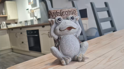 Gîte La Grenouille Verte