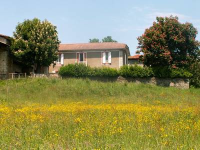 2010 - LA ROSE DES PYRÉNÉES