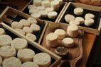 Ferme des Poutounets - Plateau de fromages