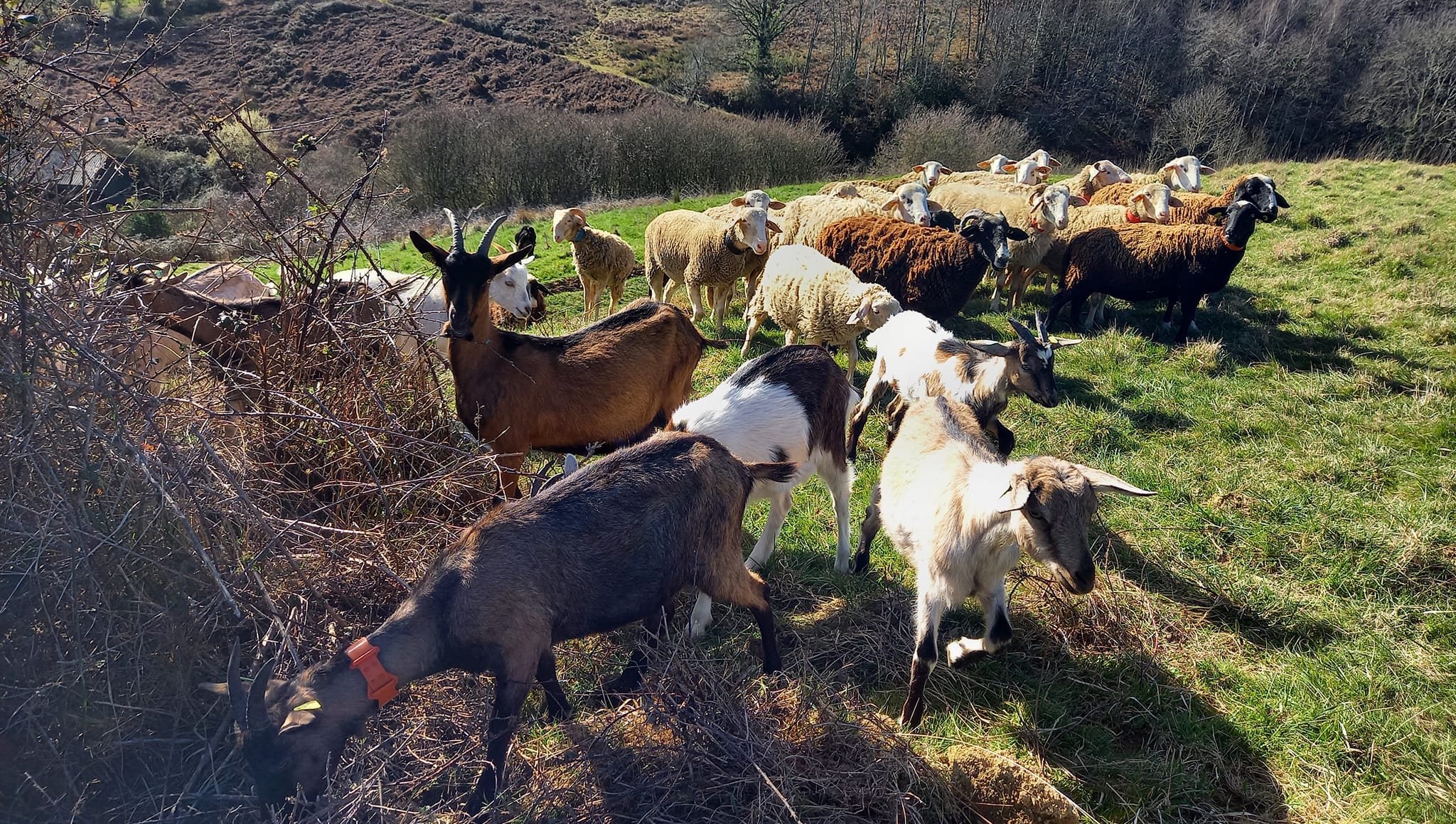 Ferme de Arroutis