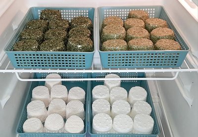 Atelier dégustation fromages de chèvre, Ferme de Soepi, L'Isle-en-dodon