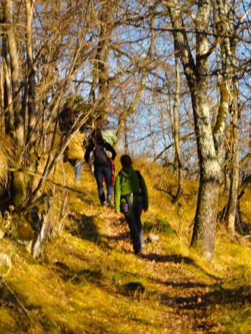 Sentier de randonnées