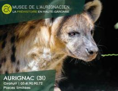 Capture d'écran 2026-02-05 163940