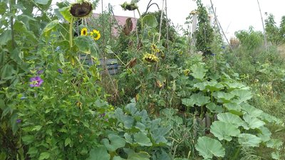 17 - Ti Kaz Provencale