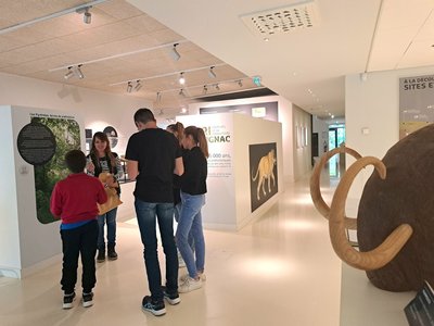 Visites