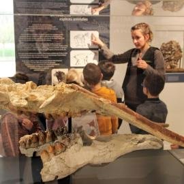 Visites spéciales enfants musée