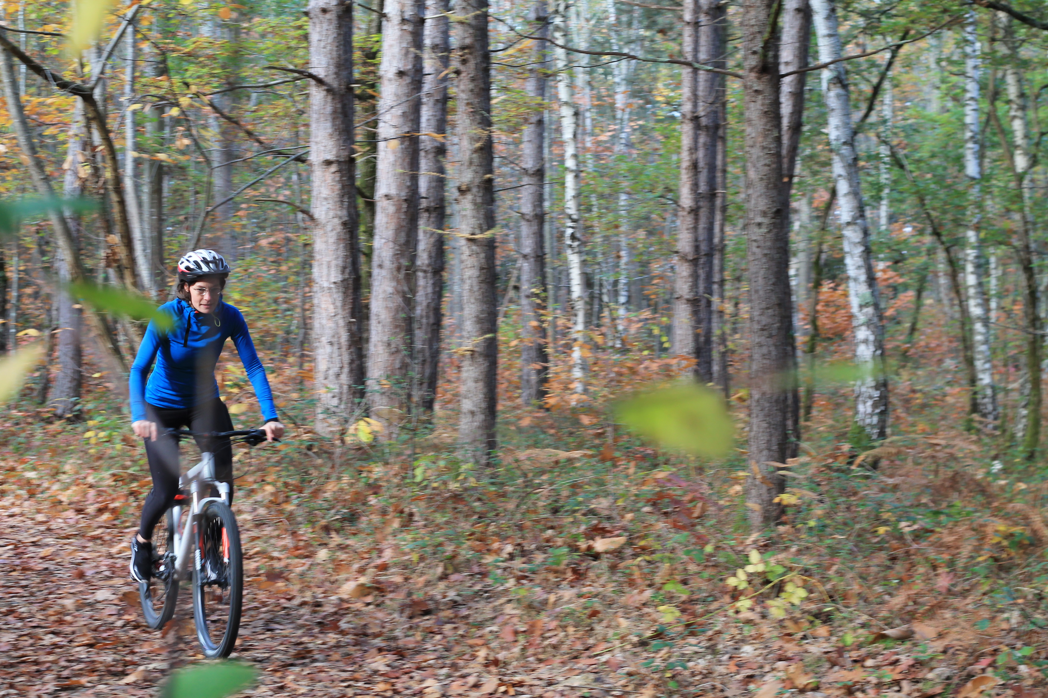 VTT forêt de Cardeilhac