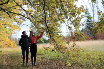Cardeilhac : sentier de l'arboretum